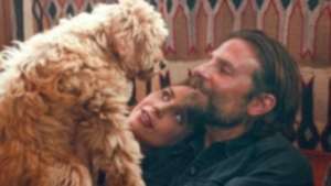 a star is born