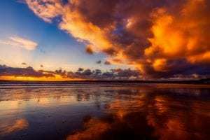 red tide