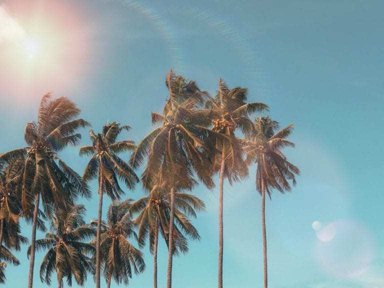 coachella