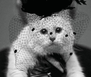 choupette
