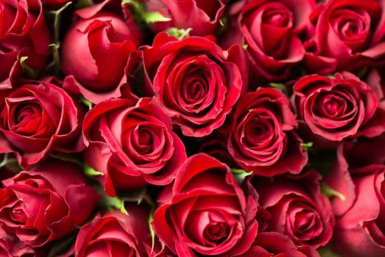 Valentines day in the digital age