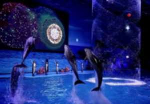 China: Caging The Oceans Wild