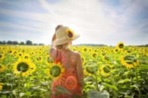 regenerative farming