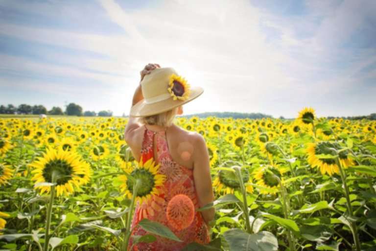 regenerative farming
