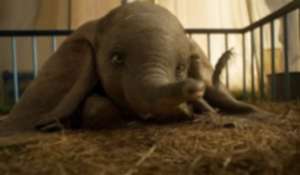Dumbo