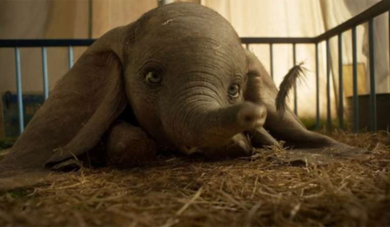 Dumbo