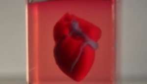 First 3D printed heart, complete with tissue