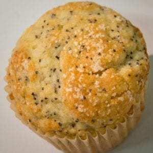 Can you find the five ticks on this muffin?