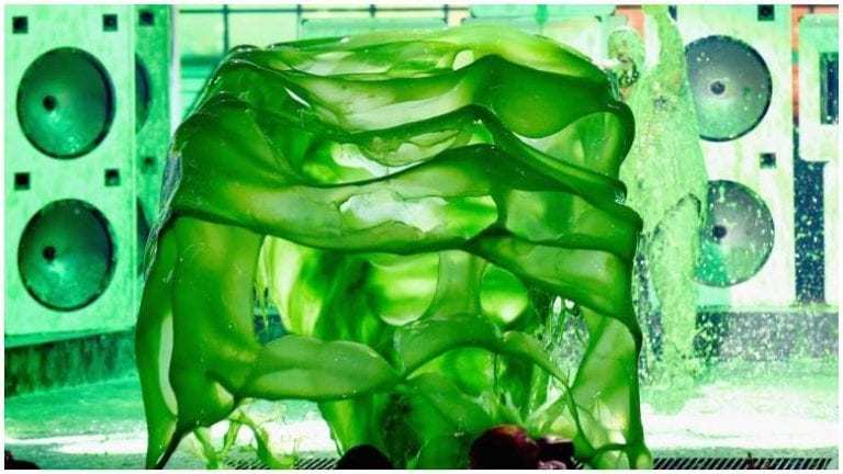 nickelodeon slime
