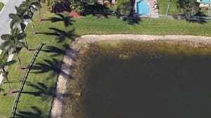 google earth body