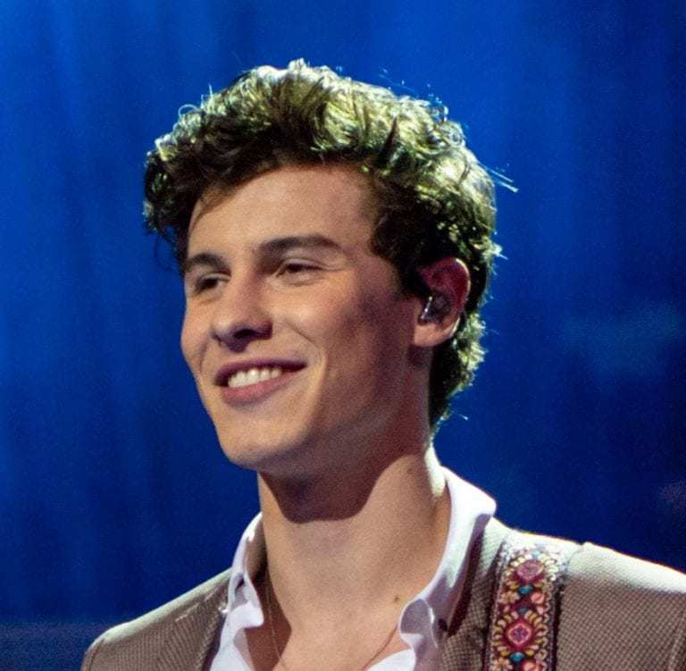 Taylor Swift Lover Remix With Shawn Mendes