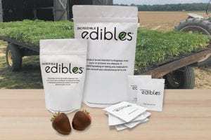 edible arrangements