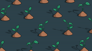 Seed Rounds