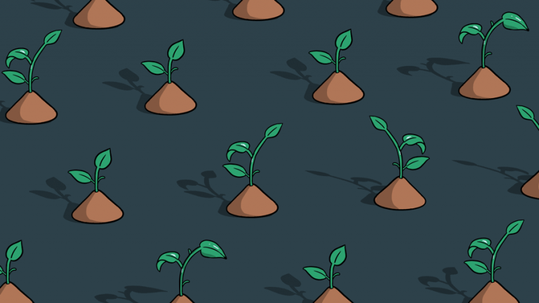 Seed Rounds