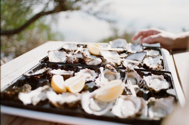 oyster farming