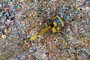 Plastic-Eating Caterpillars