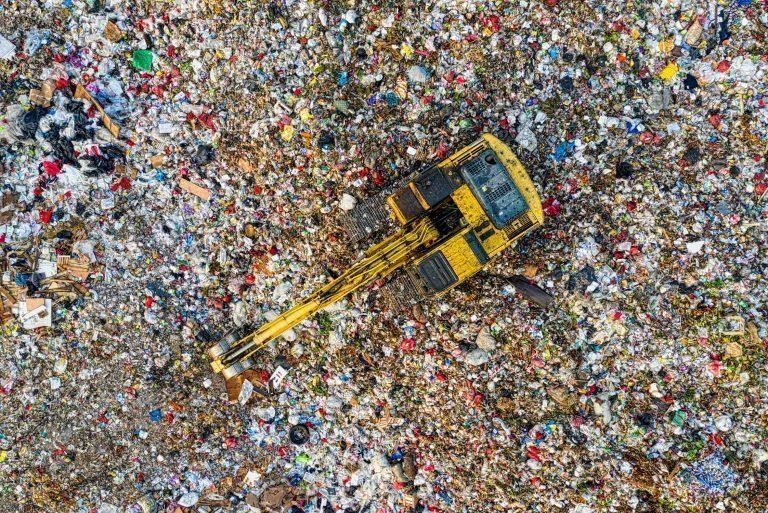 Plastic-Eating Caterpillars