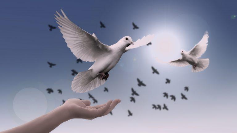 Monday motivation peace