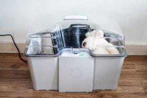Magna Seeks Testing for Sanitizing Device That Could Kill COVID-19