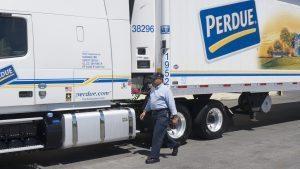perdue farms