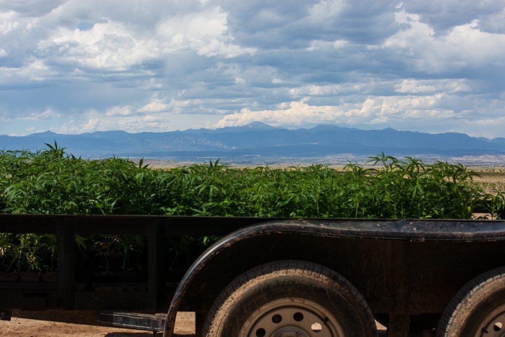Veritas Farms