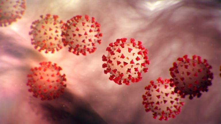rapid coronavirus test