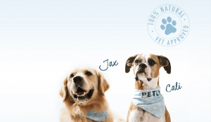 CBD Pet Chews