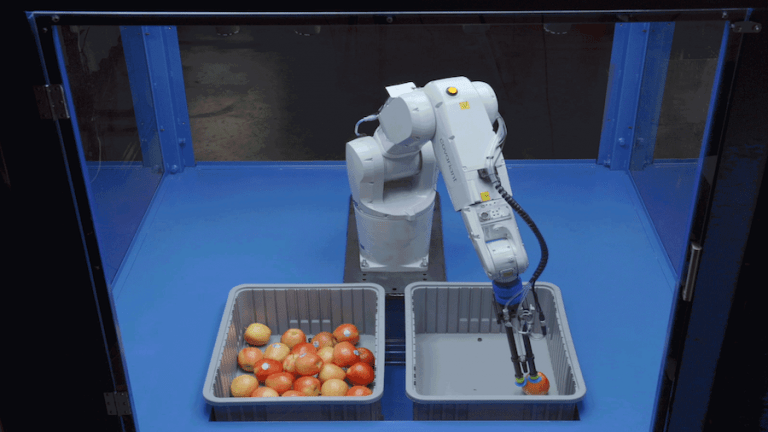 AI Company