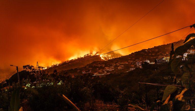 California Fire Season