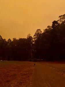 Bay Area Smoke