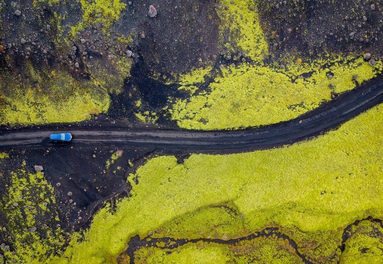 california ban gas cars