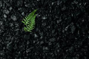 recompose human compost