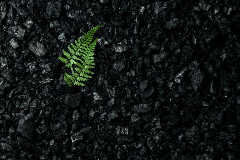 recompose human compost