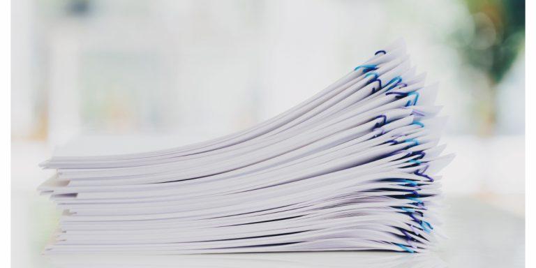 organized paper in 2021