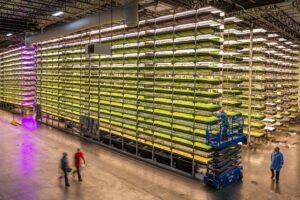aerofarms spring valley