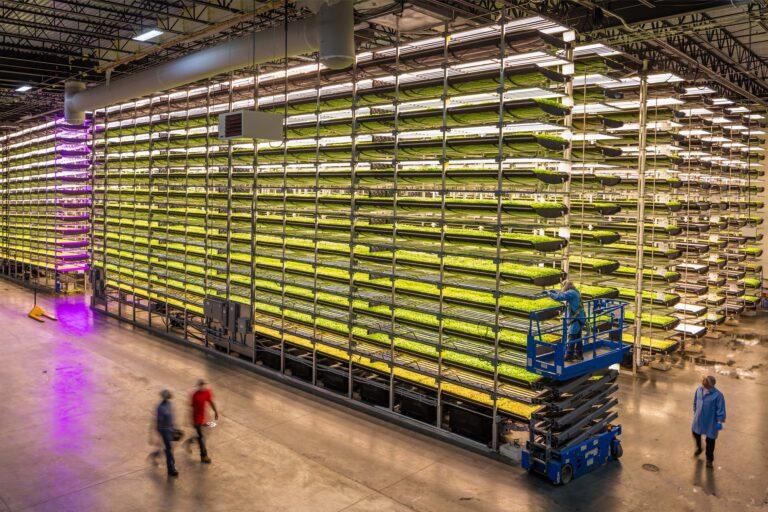 aerofarms spring valley