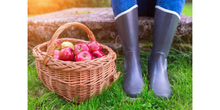 rubber boots 2021