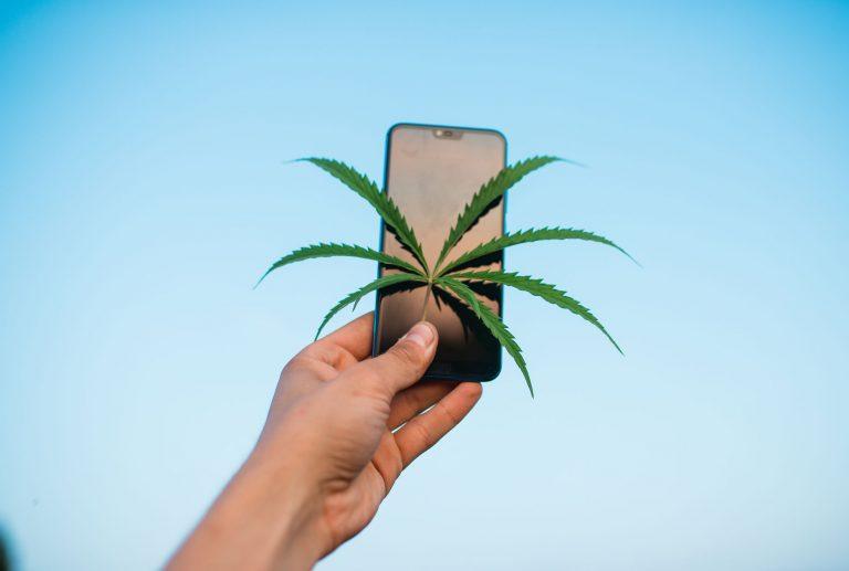 cannabis sms marketing alternatives