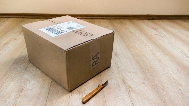 Borzo last-mile delivery