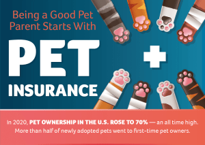 pet parenting