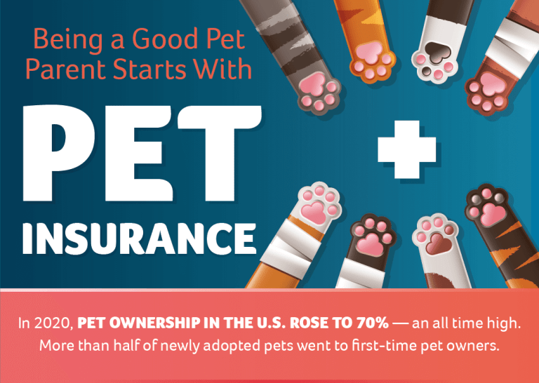 pet parenting