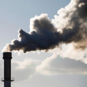 sustainable production