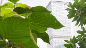 Sustainability Transformation
