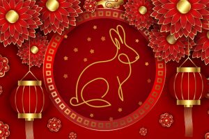 Year of the Rabbit