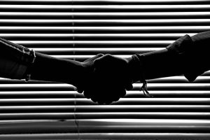 how-private-businesses-can-partner-with-government-agencies-to-facilitate-change