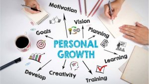 great-success:-lessons-from-high-performing-organizations