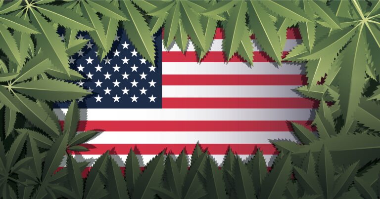 cannabis legislation