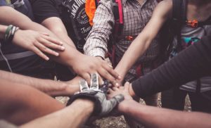 Trust building