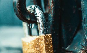 Forrester security breach