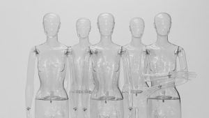 Procedural justice approach to AI